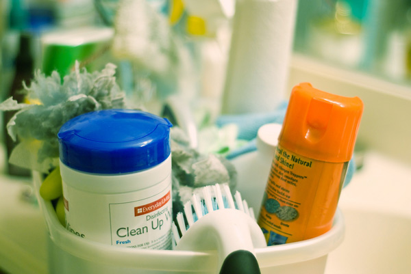 Productos de limpieza - Prevención durante el embarazo