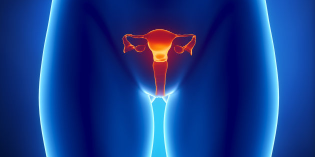 Conceptos que te ayudarán a conocer más a tu vagina