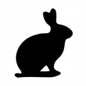 Horoscopo Chino - Conejo