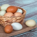 Como saber si un huevo esta bueno, malo, fresco o podrido
