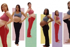 La forma de la barriga durante el embarazo